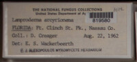 Image Associated With the Occurence